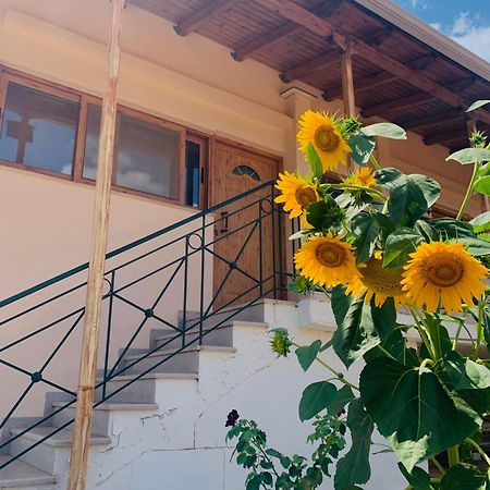 Appartement Bokas Exotic House à Tragana  Extérieur photo